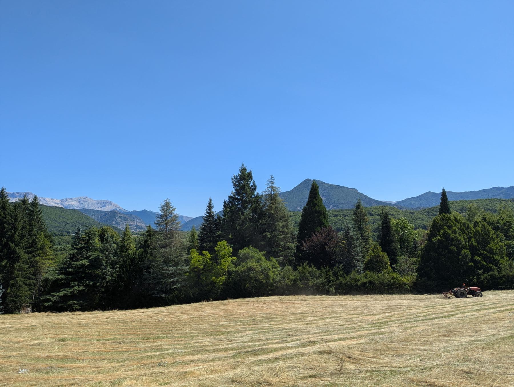 Mown meadow at the foot of the mountains, seen from the farm