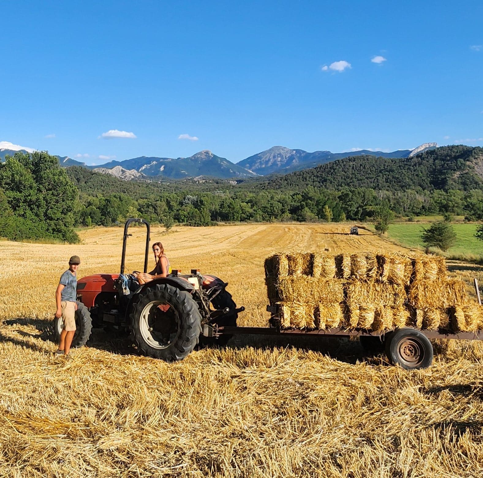 Les foins au domaine